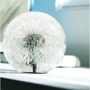 Elegant Dandelion Paperweight - Clear and White